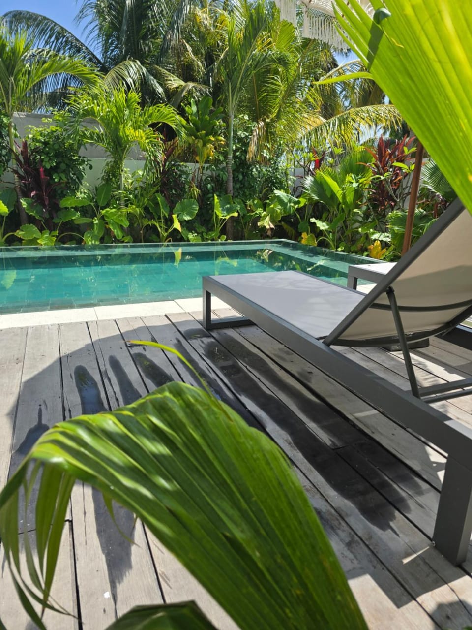Garden view, Swimming pool, sunbed