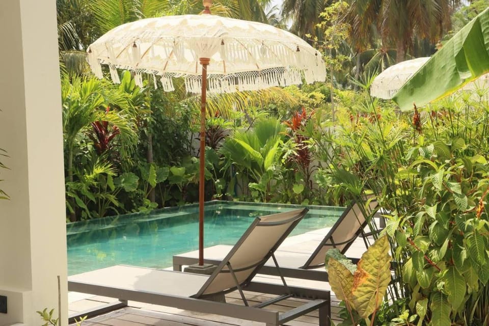 Natural landscape, Garden, Swimming pool
