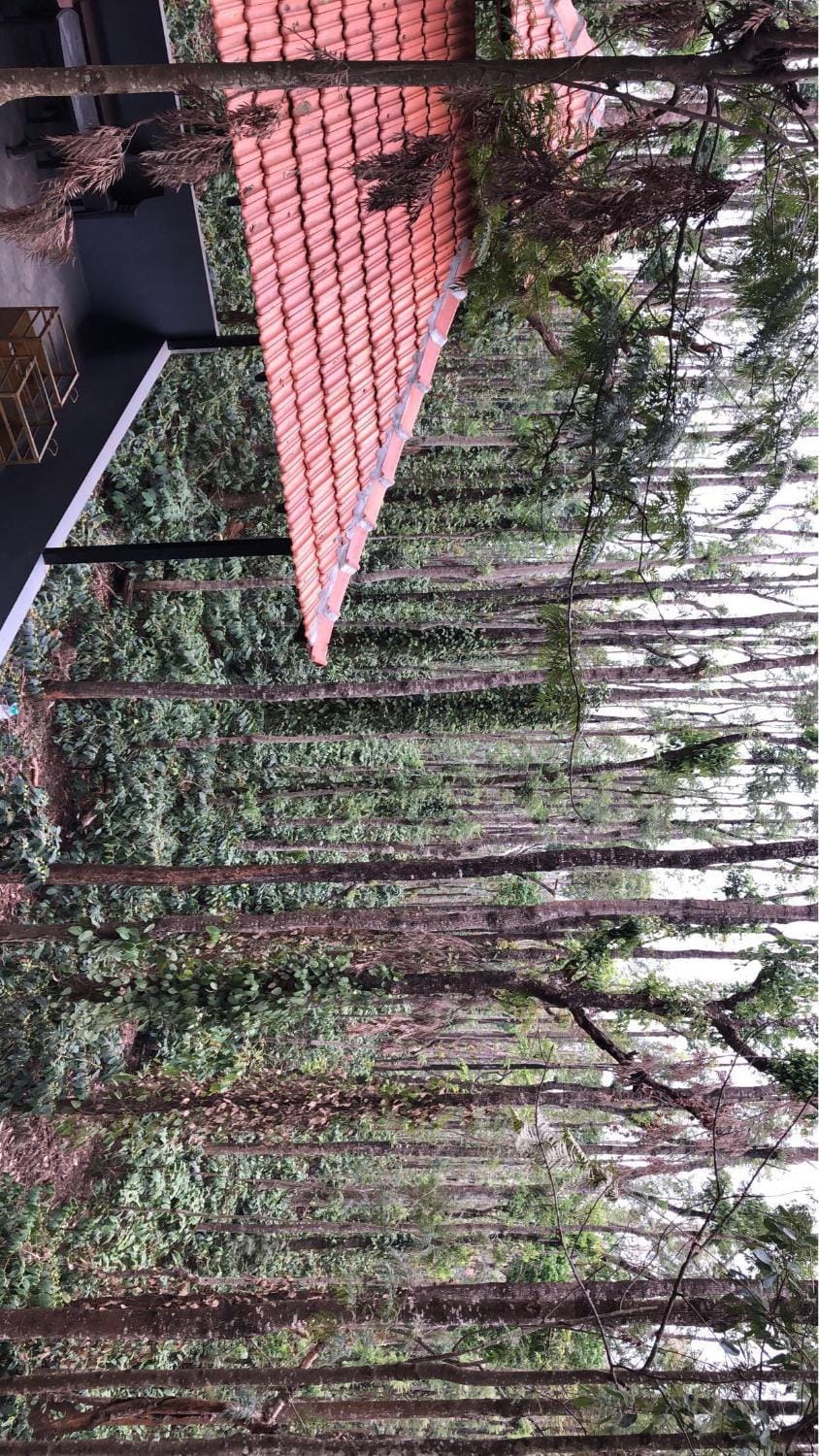 Natural landscape, Garden view