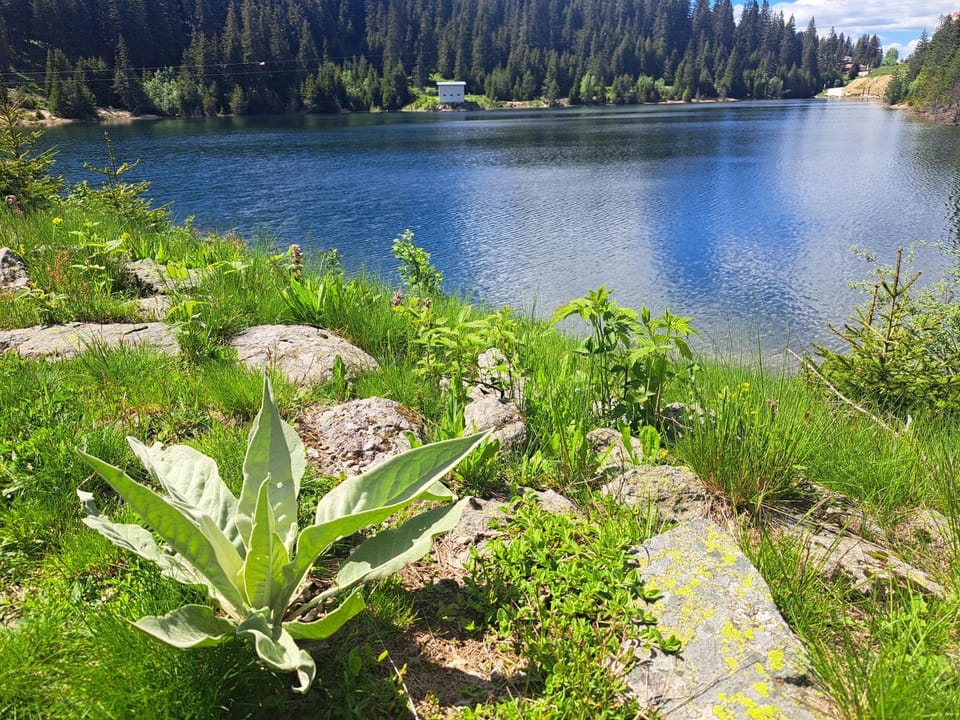 Natural landscape, Mountain view