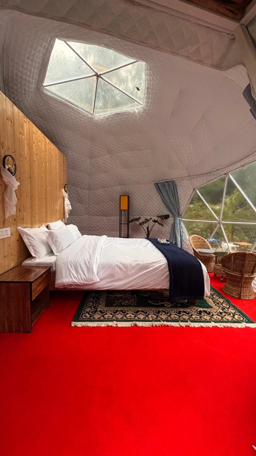 Bed, Photo of the whole room, Bedroom