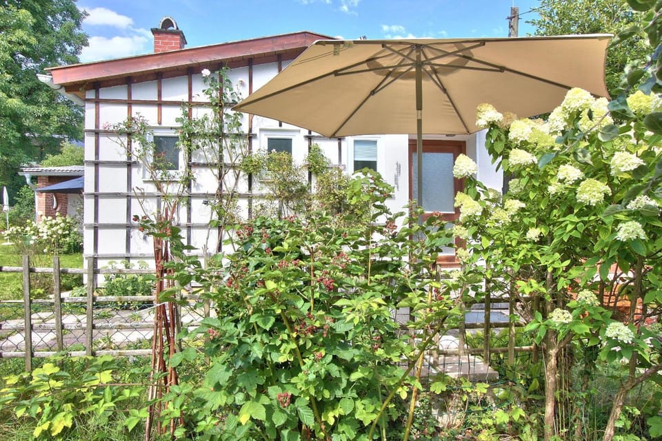 Property building, Spring