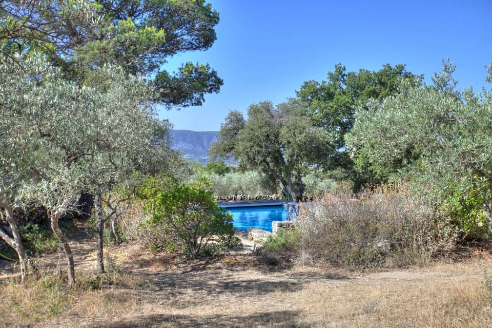 Garden, Swimming pool