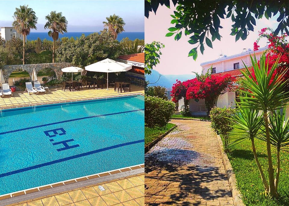 Spring, Day, Garden, Garden view, Pool view, Swimming pool, Swimming pool