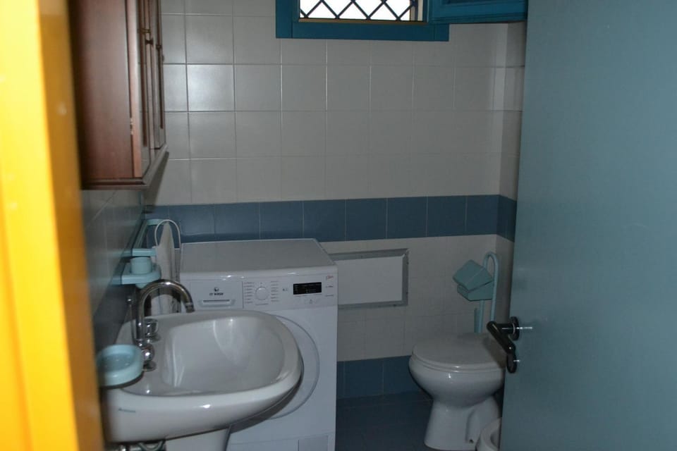 Toilet, Bathroom, washing machine