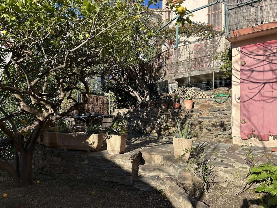 Garden, Garden view