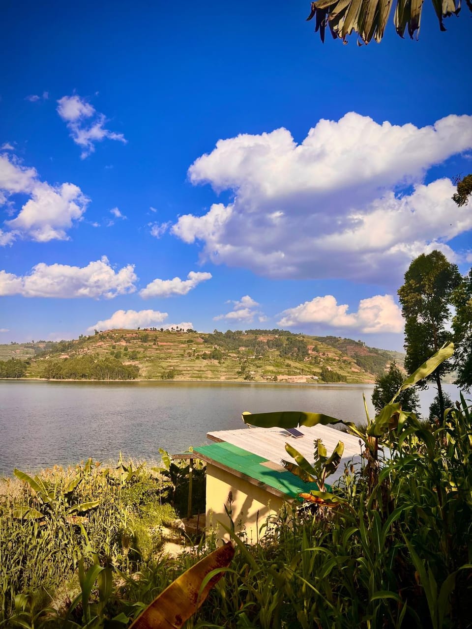 View (from property/room), Lake view