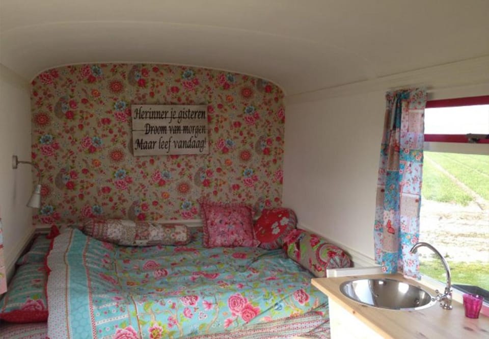Boerencamping Duinzoomhoeve - Pipowagen Farm Stay in North Holland (province)