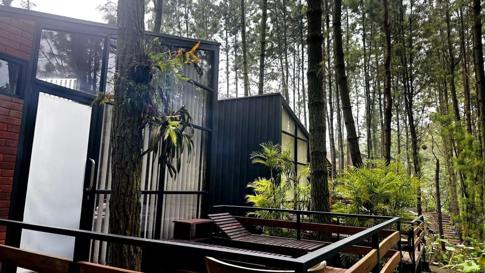 Pineforrest Hotel in East Java