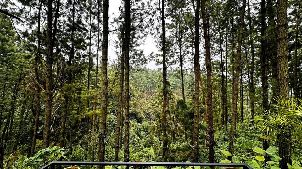 Pineforrest Hotel in East Java