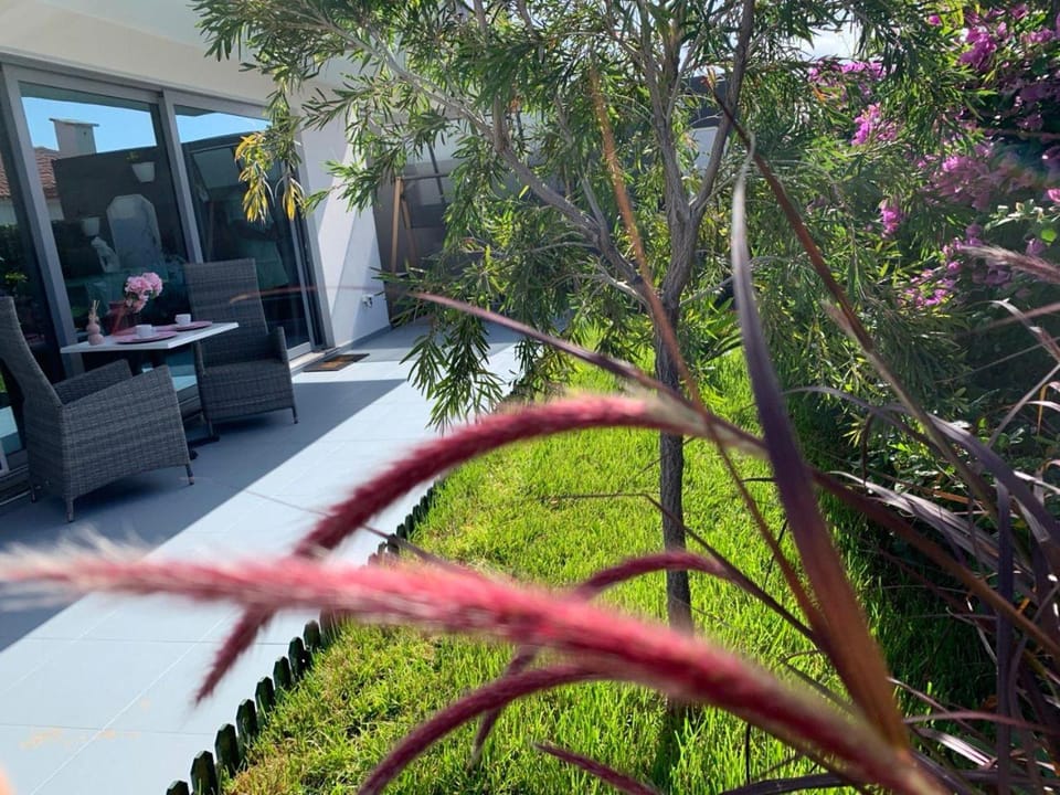 Patio, Garden