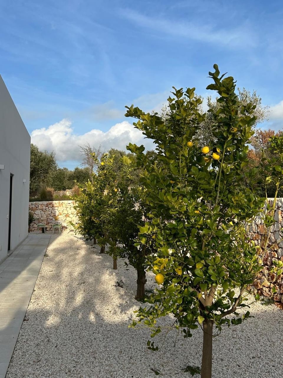 DREAM HOUSE Pouilles Villa in Ostuni