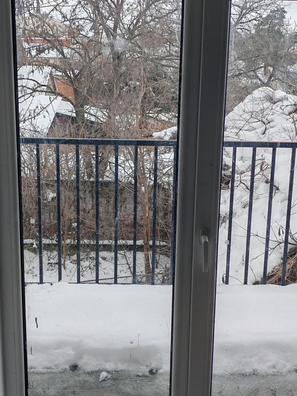 Vila Vera House in Novi Sad