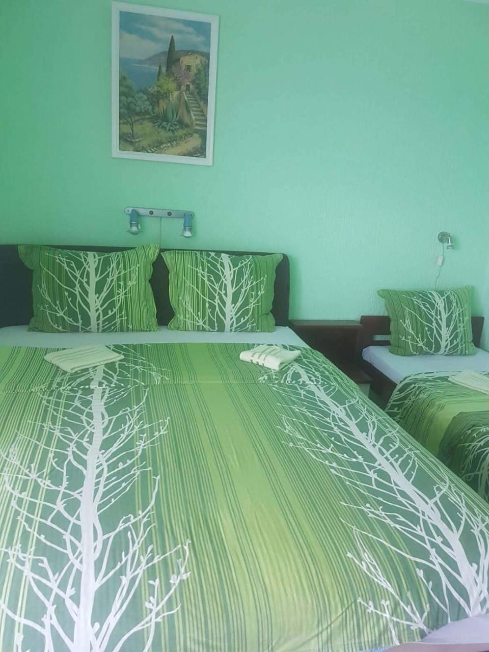 Apartmani Micunovic Apartment hotel in Montenegro