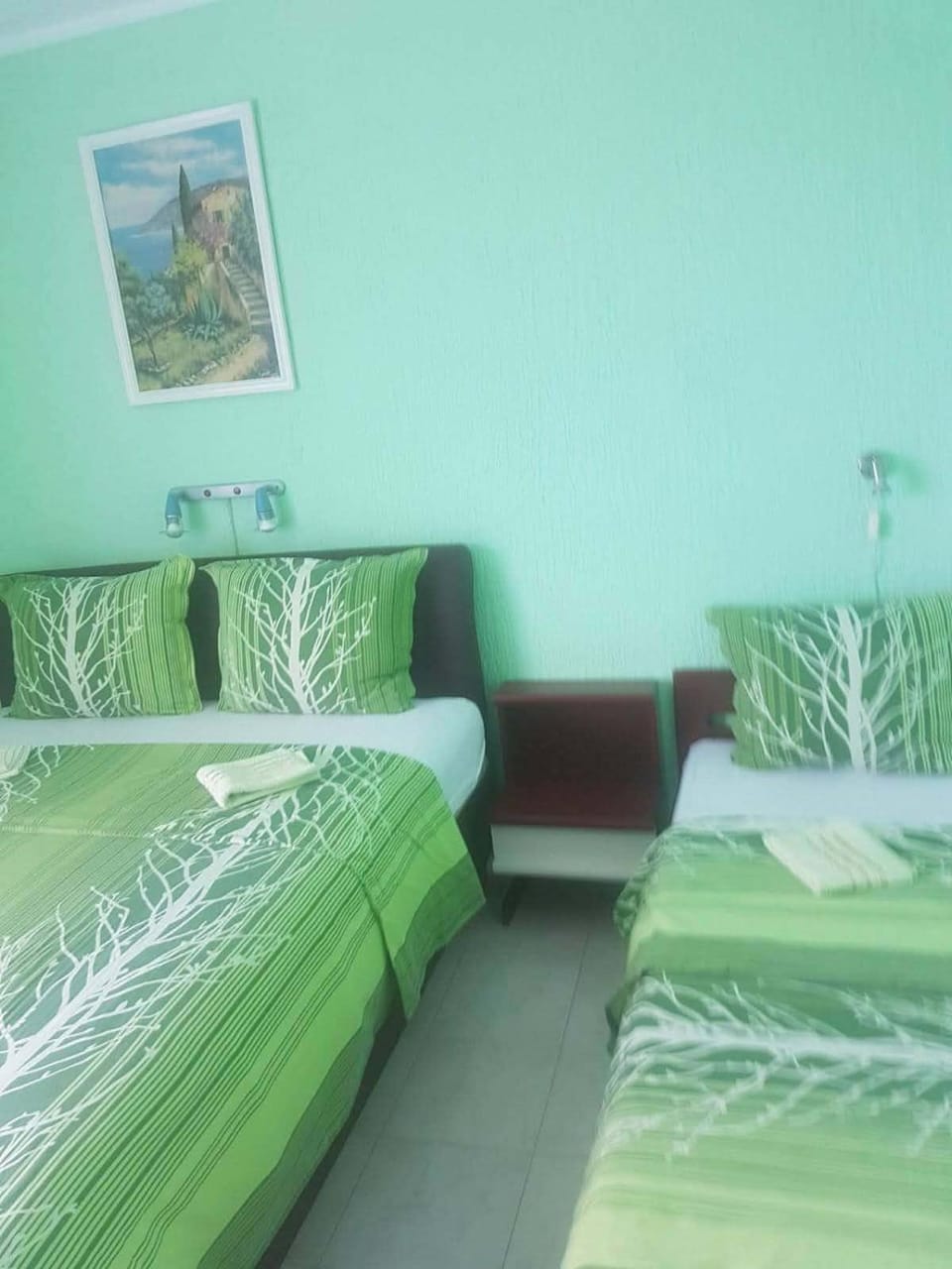 Apartmani Micunovic Apartment hotel in Montenegro