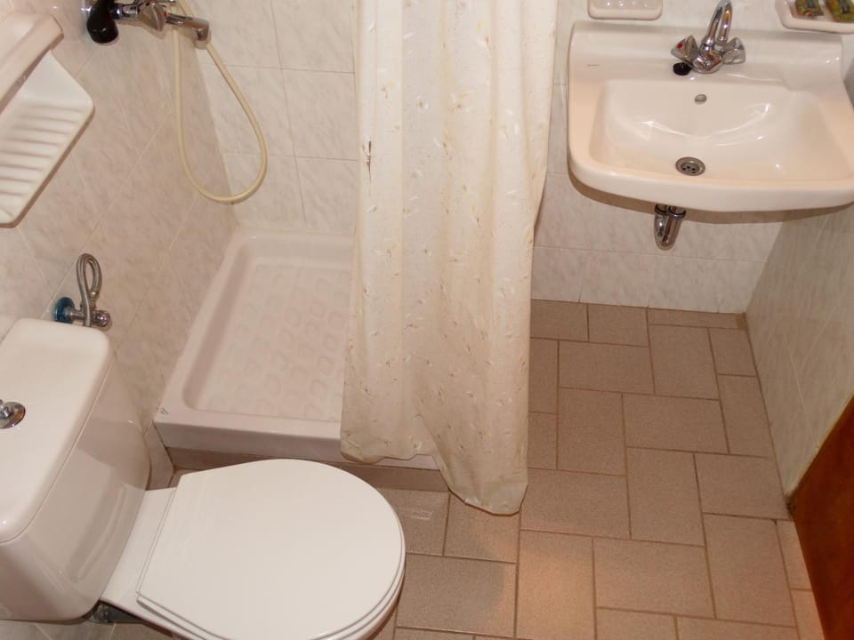 Shower, Toilet, Bathroom, Bathroom