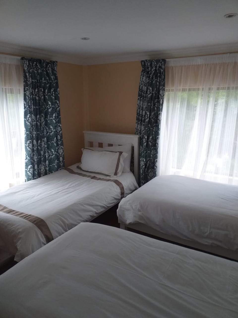 Alpine Inn Hotel in Western Cape