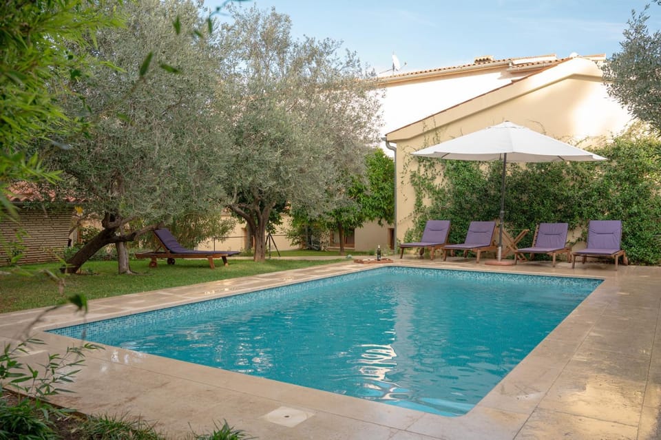 Day, Garden, Swimming pool