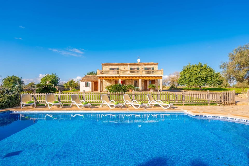 Property building, Garden, Swimming pool, sunbed