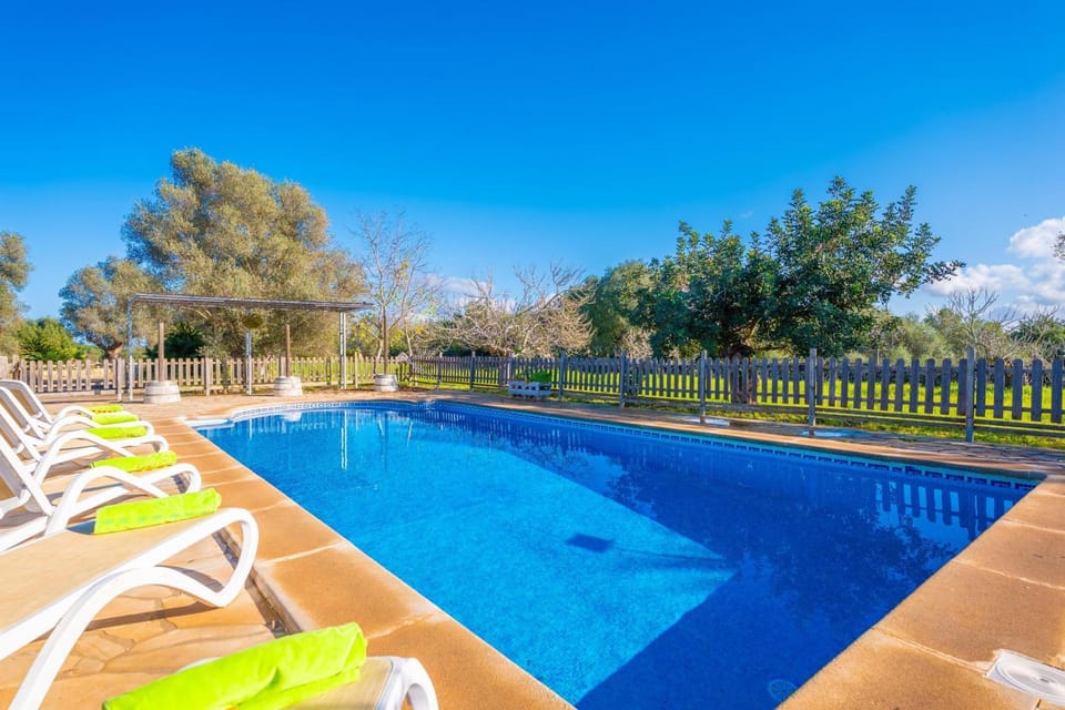 Garden, Swimming pool, sunbed