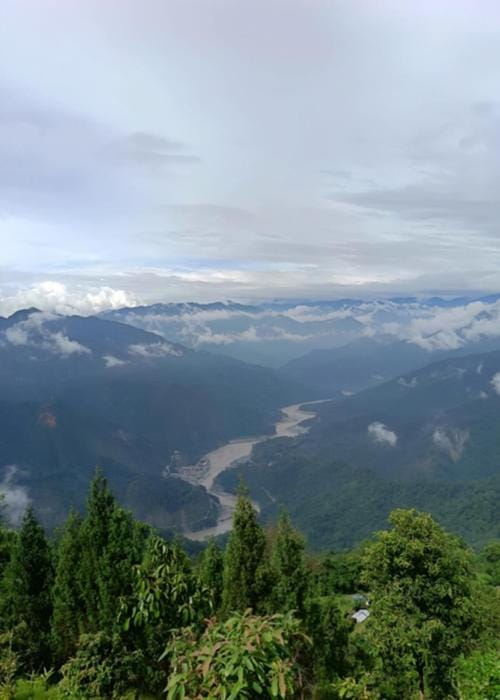 The Silver Tip - A Tea Boutique Farmstay Vacation rental in West Bengal