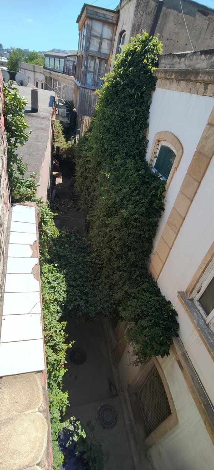 Inner courtyard view