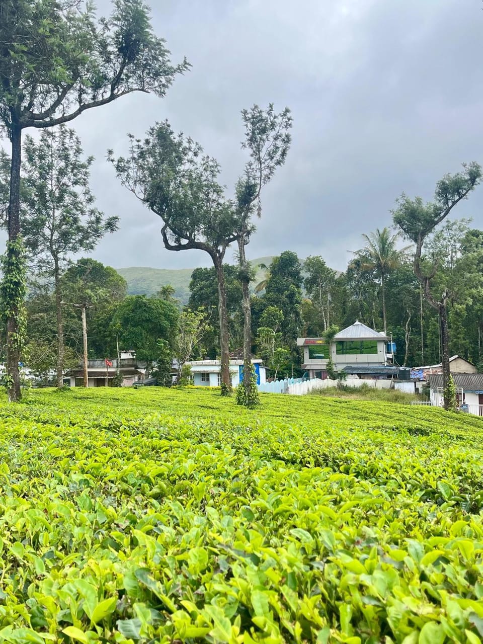 Bethel Homestay House in Kerala