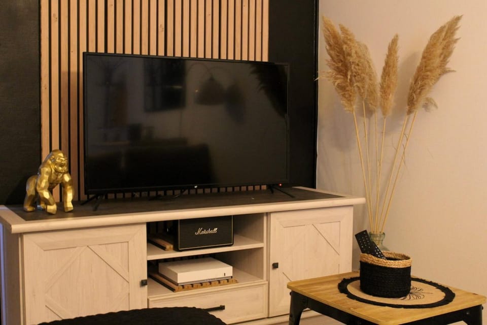 Communal lounge/ TV room, TV and multimedia