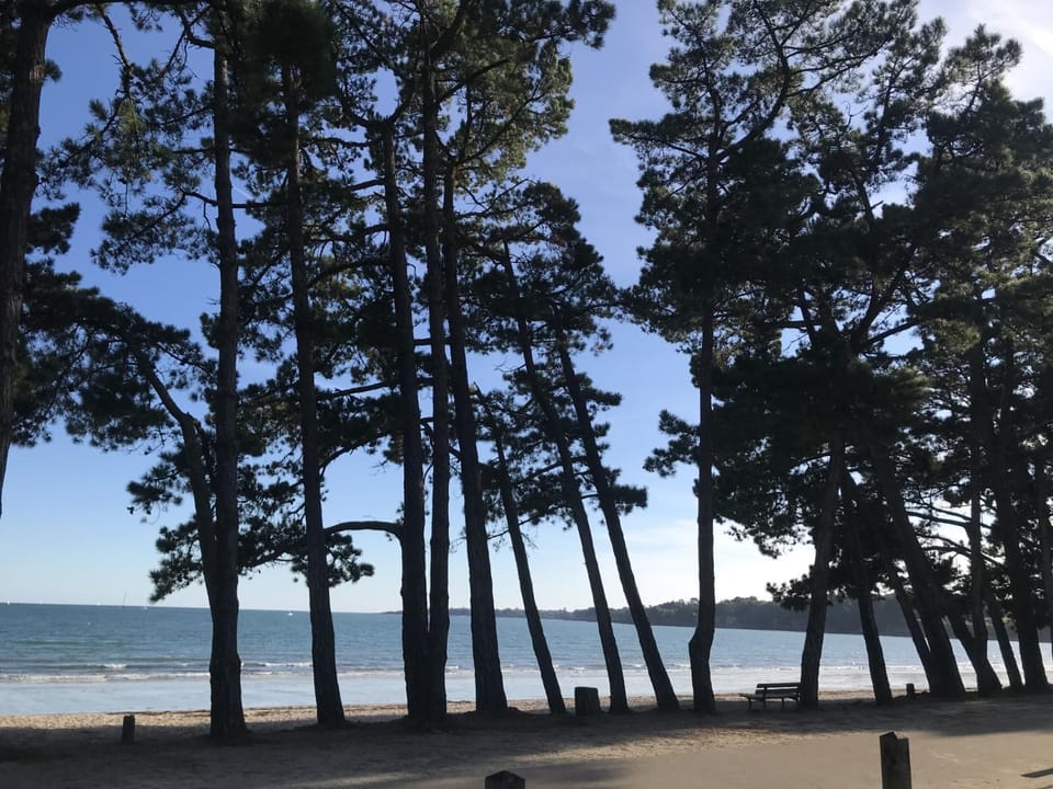 -ODILE- Grande maison a Cap Coz proche plage House in Fouesnant