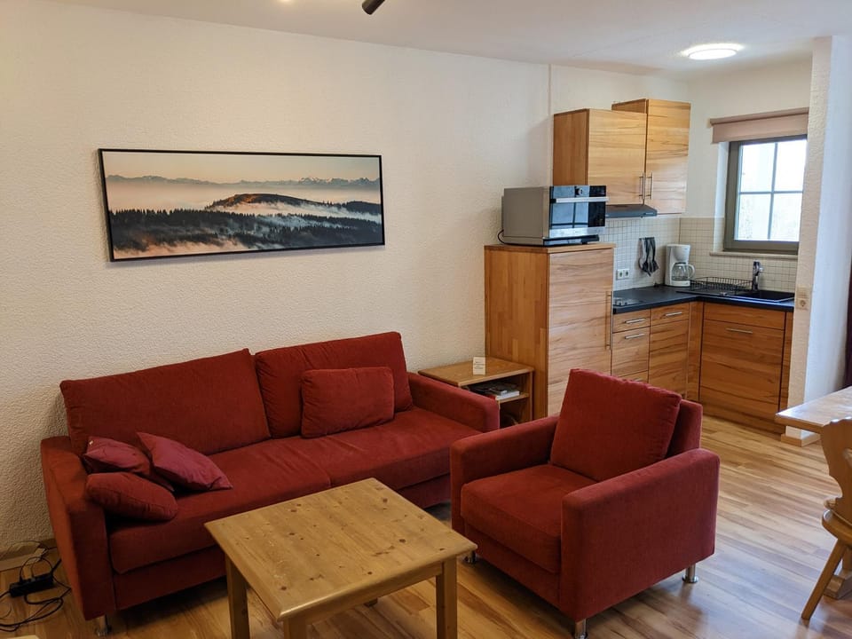 Kitchen or kitchenette, Living room, Seating area