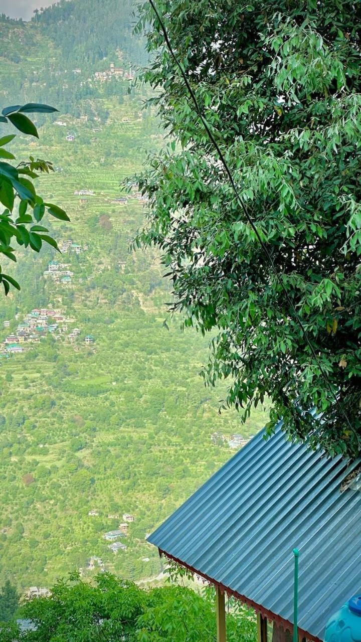 Mountain view