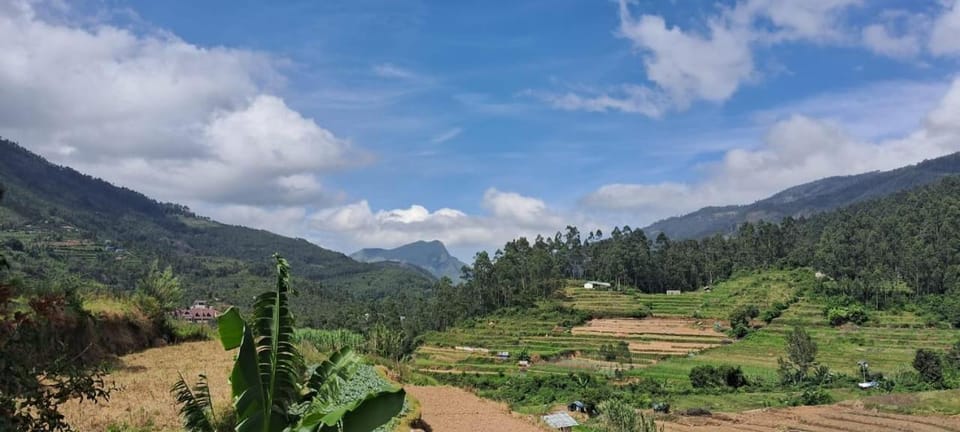 Enjoy homestay House in Kerala