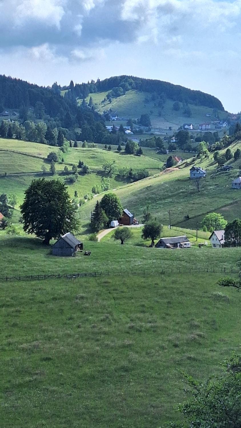 Căsuța de la munte Fundata 1 House in Brașov County
