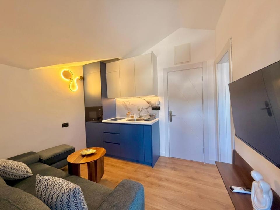 Kitchen or kitchenette, Living room, Photo of the whole room, Seating area