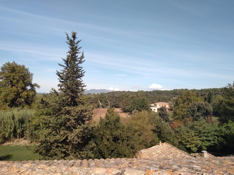 Natural landscape