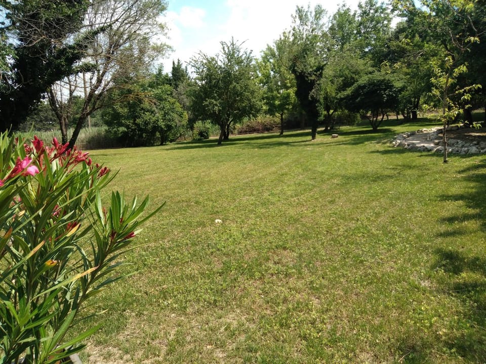 Natural landscape, Garden, Garden, Garden view