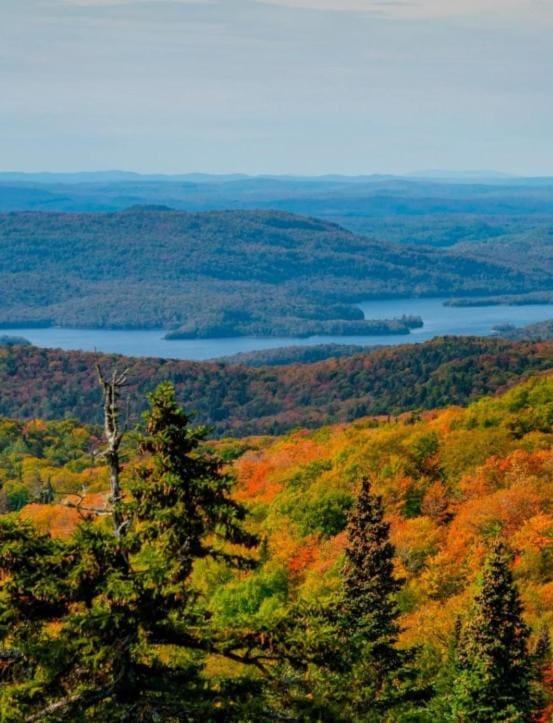 Sommet Boréal - Mont Tremblant - Village piétonnier Apartment in Mont-Tremblant