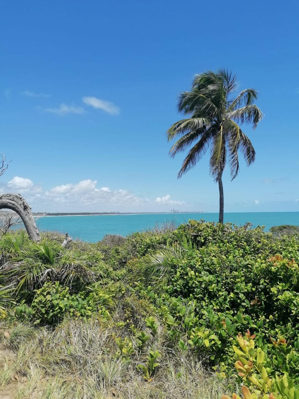 Natural landscape, Sea view