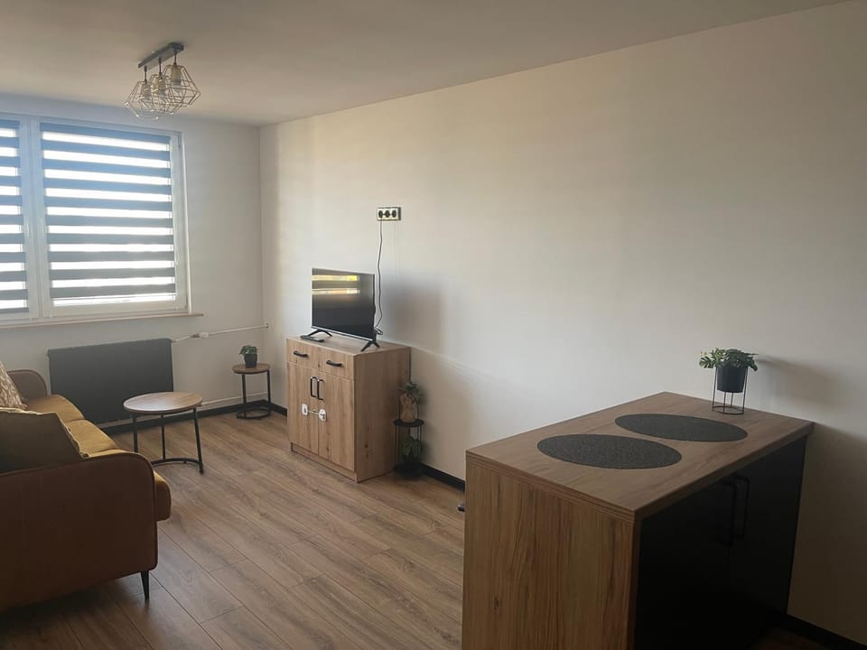TV and multimedia, Kitchen or kitchenette, Living room, Seating area, Evening entertainment