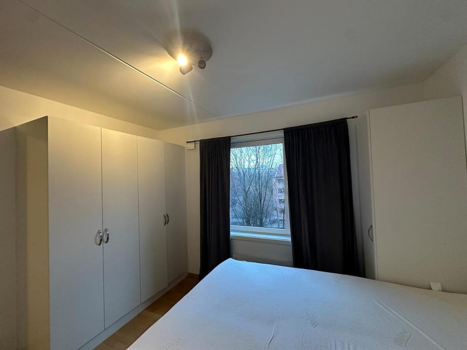Nice and quiet apartment with balcony Apartment in Oslo