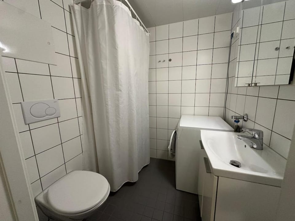 Nice and quiet apartment with balcony Apartment in Oslo