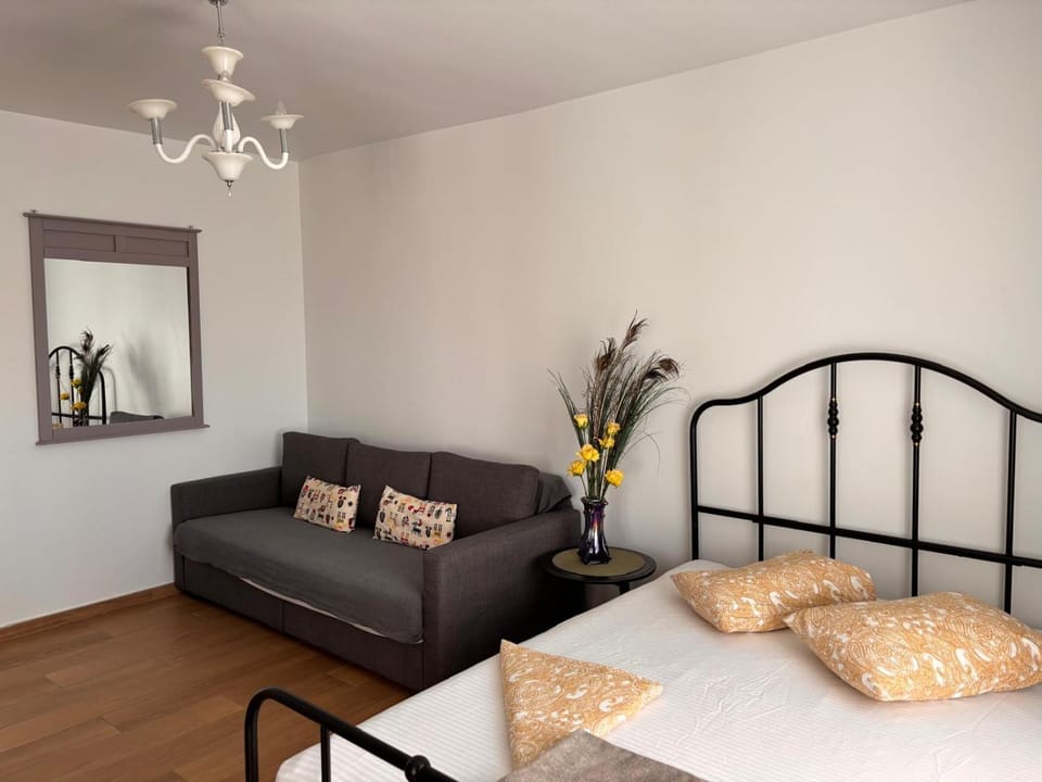 Garsoniera pat dublu plus canapea extensibila Apartment in Bucharest