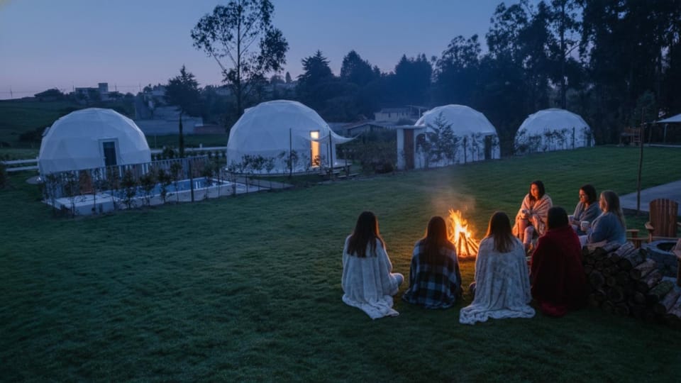 Night, Garden, Garden view