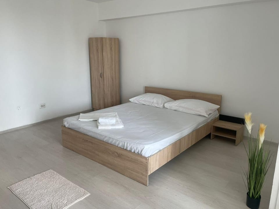1 room Circumvalatiunii Apartment in Timisoara
