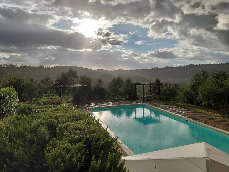 Swimming pool, Swimming pool