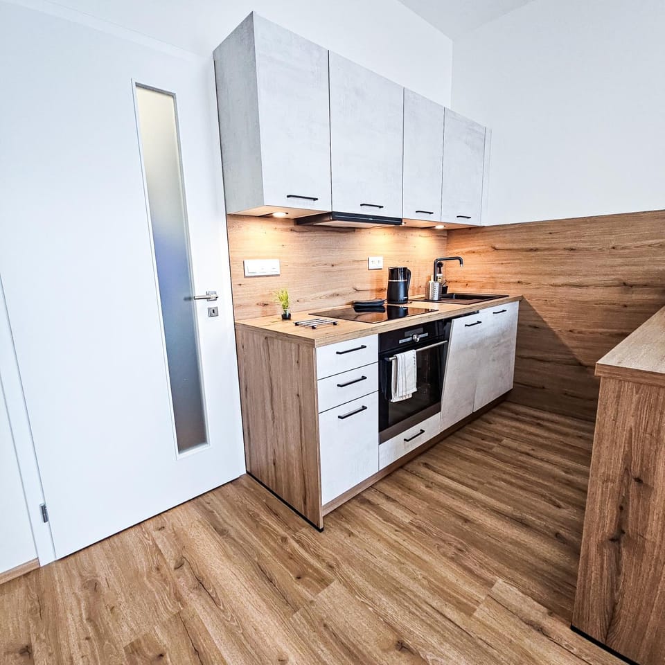 Kitchen or kitchenette, oven, stove
