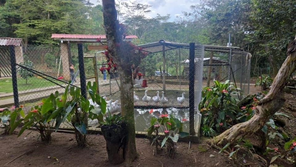 Tu Escapada Ideal con Río Privado House in Calima