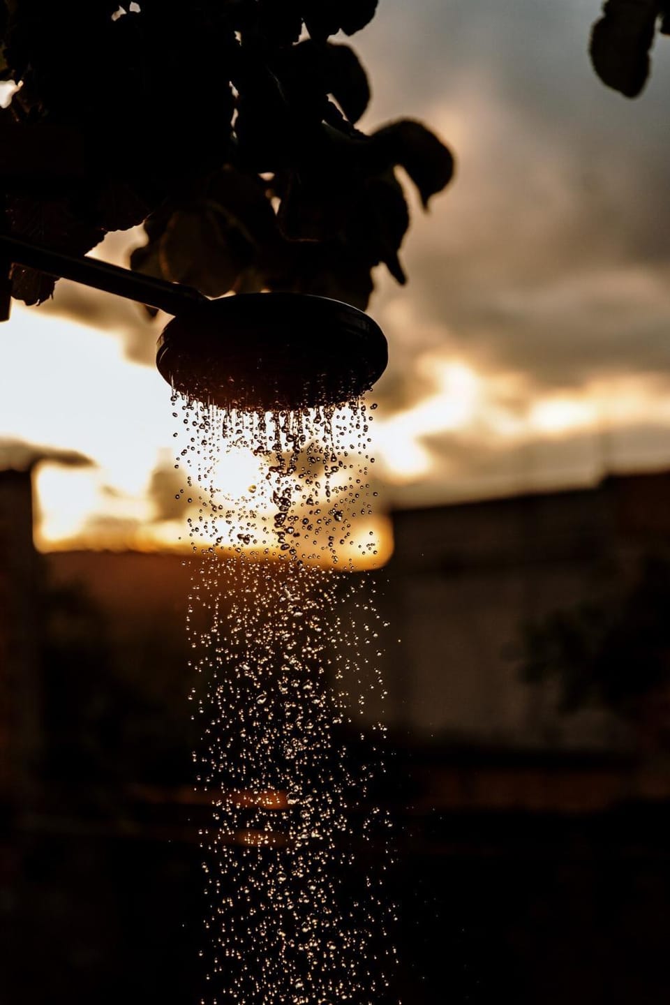 Property building, Sunset
