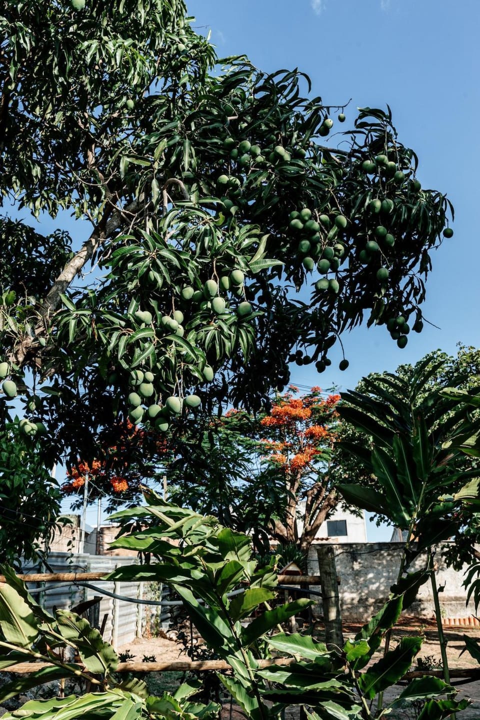 Property building, Garden view