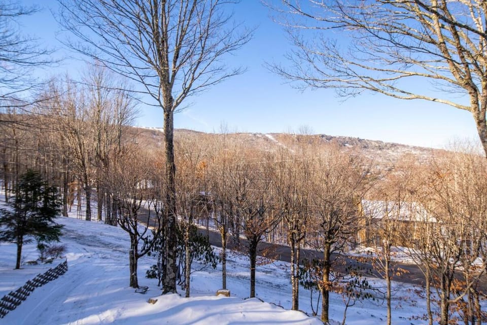 The Buc's Den Chalet in Beech Mountain